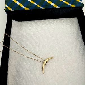 Chan Luu necklace. VERY good condition. Yellow gold petite horn.